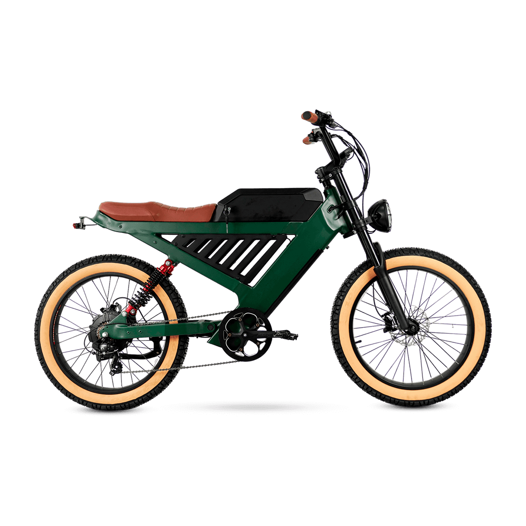 EBC 102 E-Bike