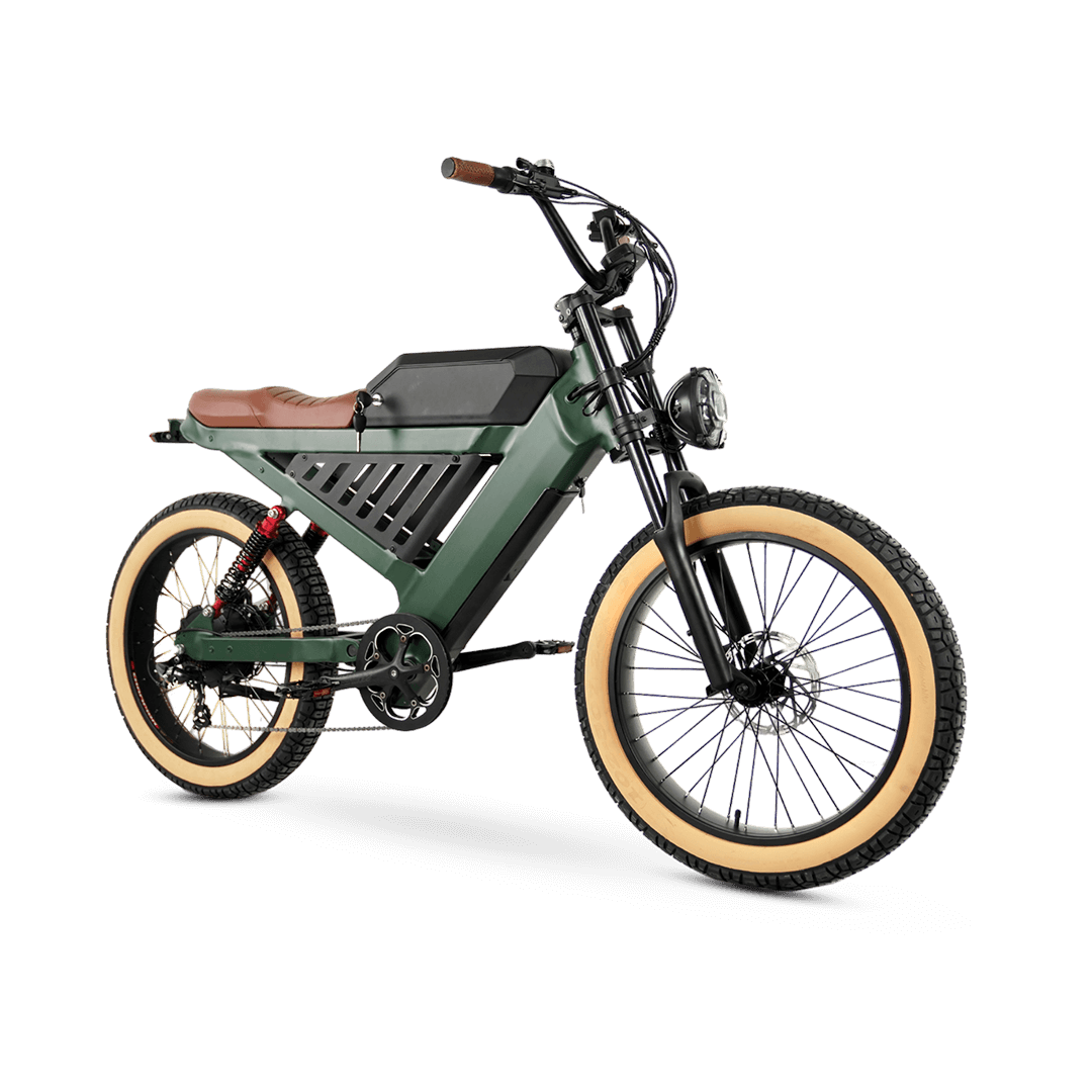 EBC 102 E-Bike