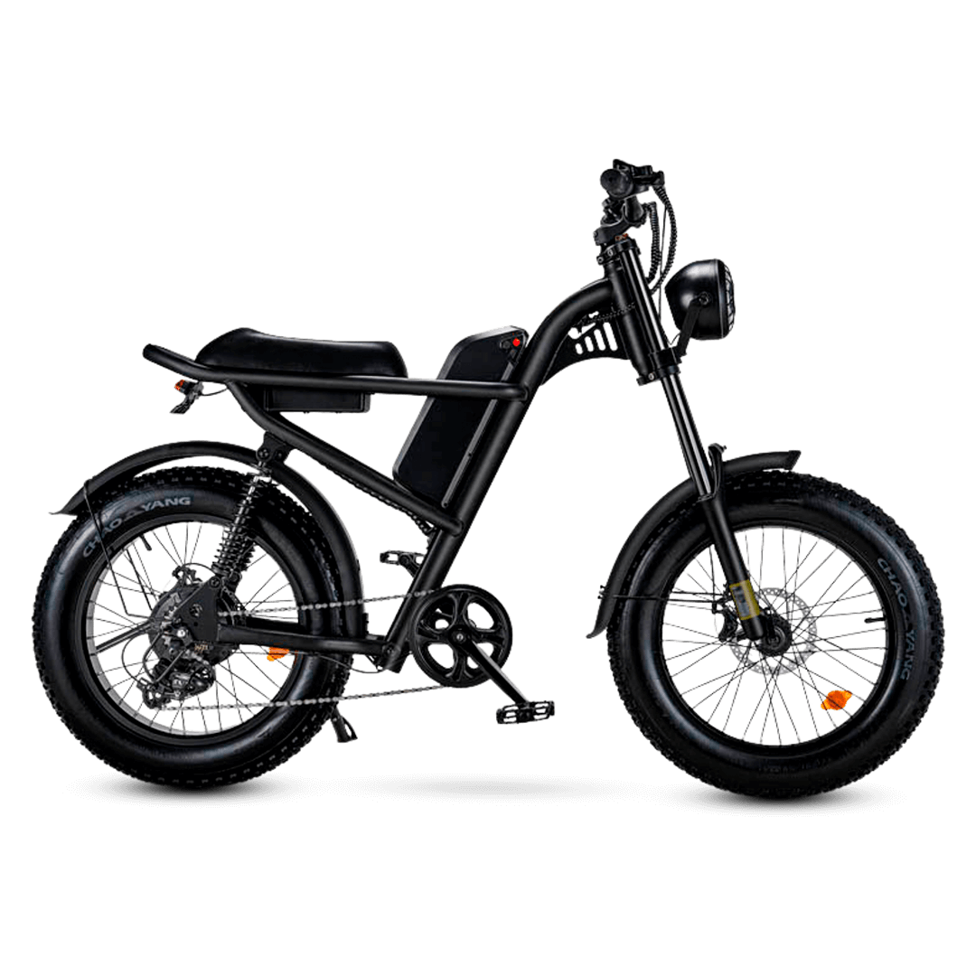 EBC 103 E-Bike