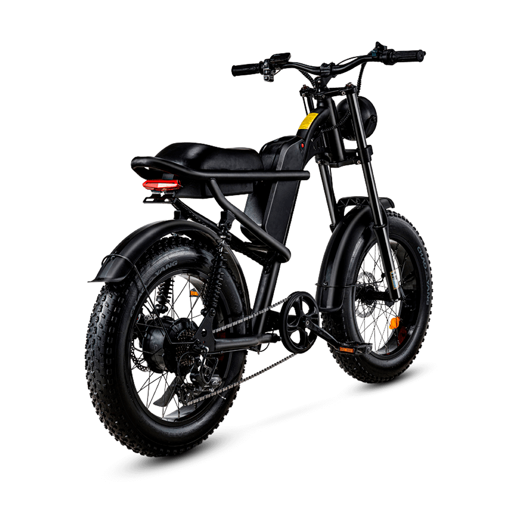 EBC 103 E-Bike