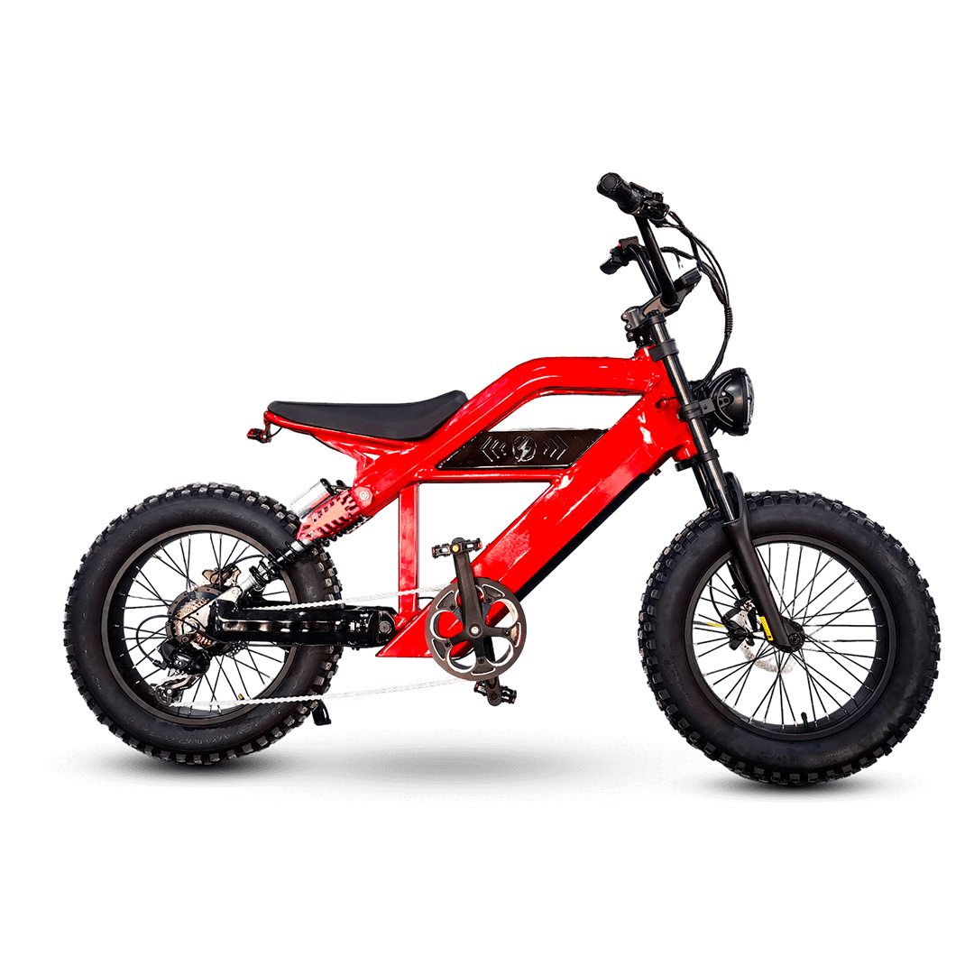 EBS 201 E-Bike