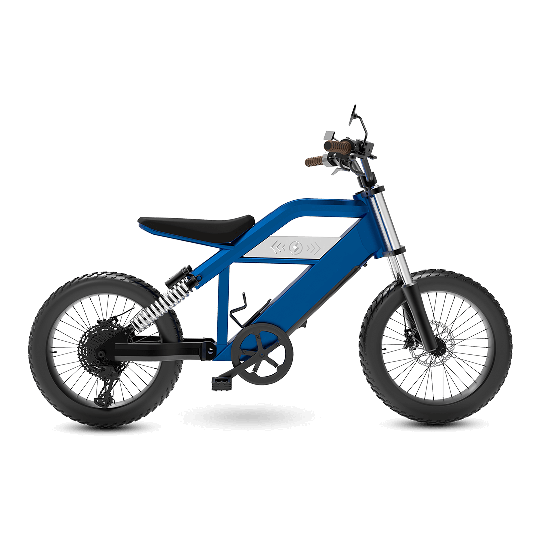 EBS 201 E-Bike