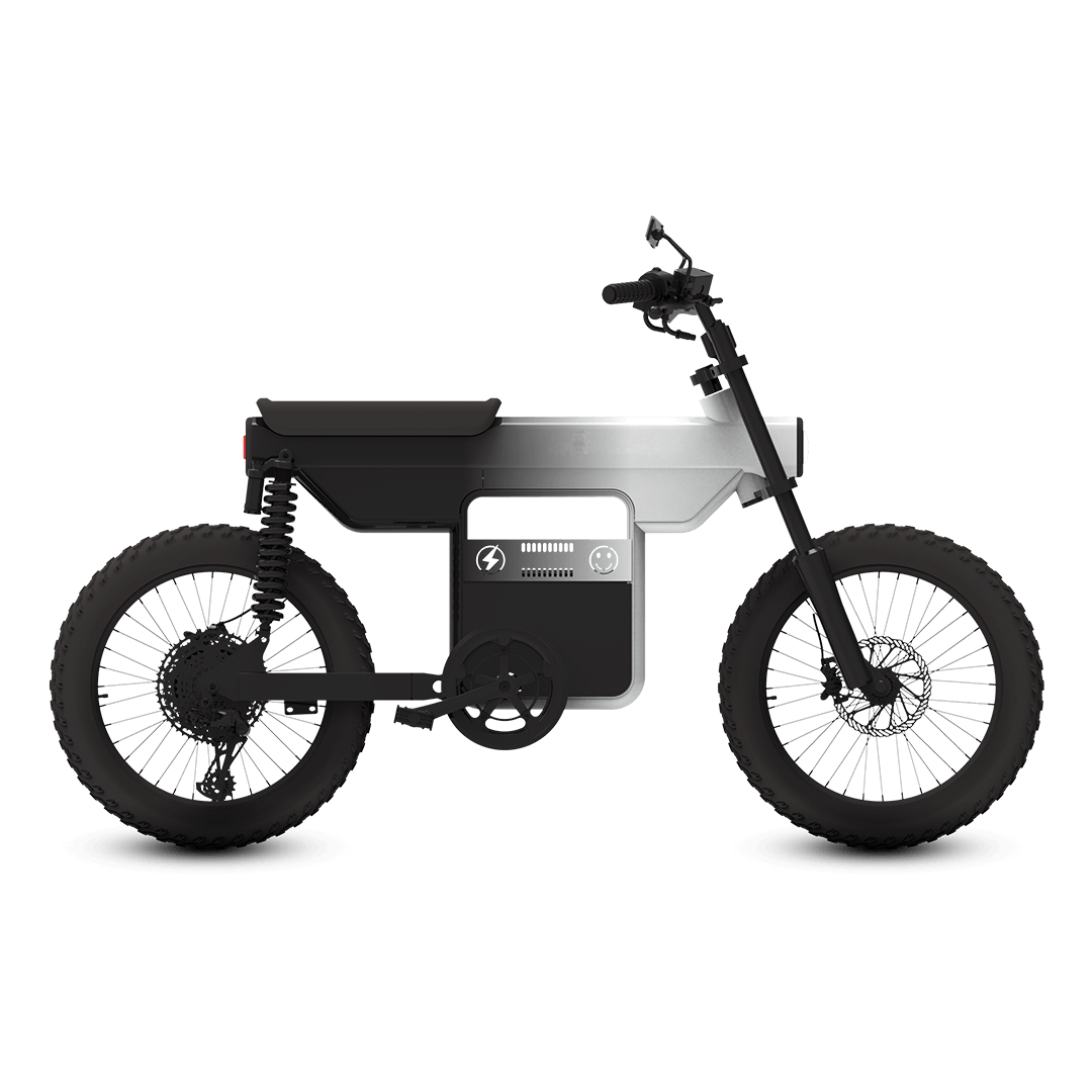 EBS 202 E-Bike