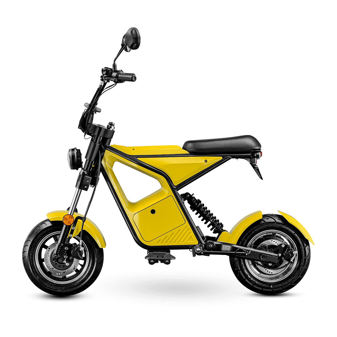 High-performance Woojay EMC 603 electric bike