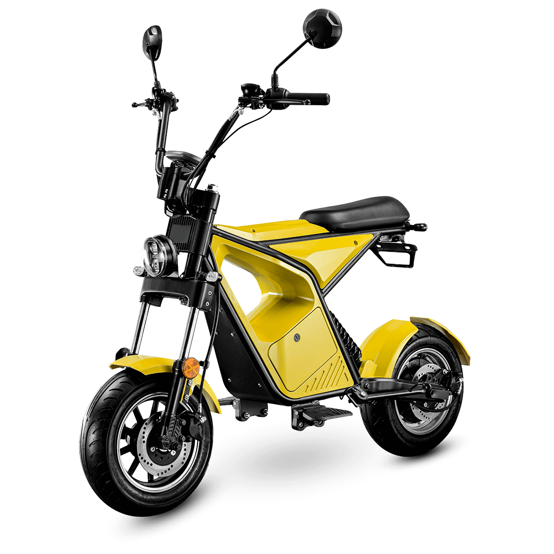 Eco-friendly Woojay E-bike EMC 606 ideal for city travel